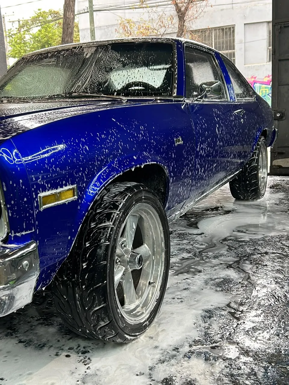Lavado detallado Alfa Romeo